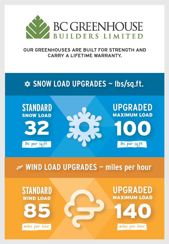 BCG SnowWind_Infographic