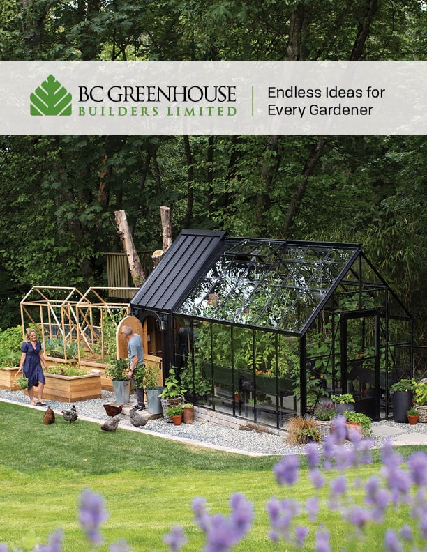 How do I get your catalog?